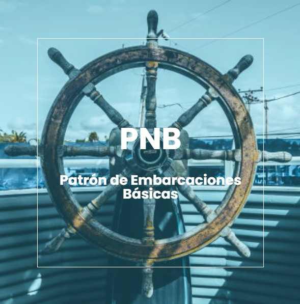 pnb miniatura